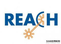 REACH高度关注物质SVHC检测
